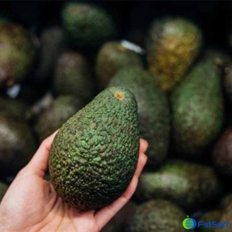 images/1666080025320avocado grader.jpg